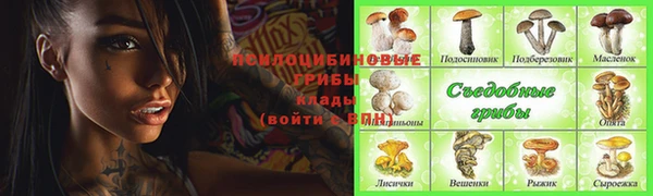 дмт Майский