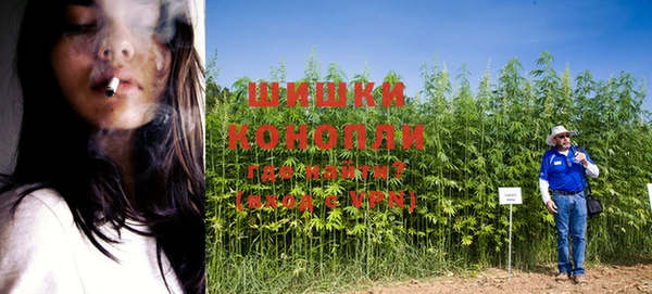 дмт Майский