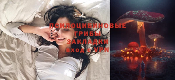 дмт Майский