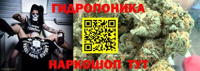 гашик Краснознаменск