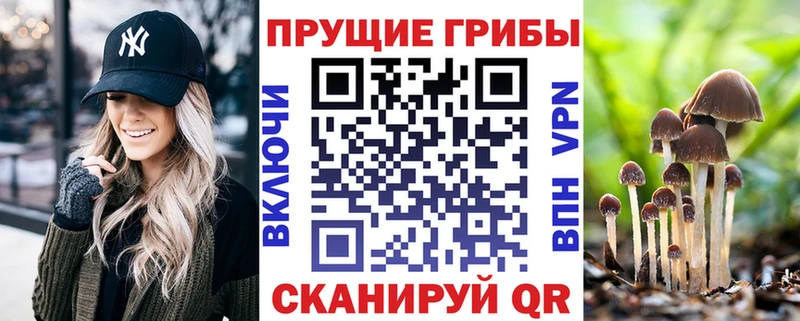 Псилоцибиновые грибы Magic Shrooms  Реутов 