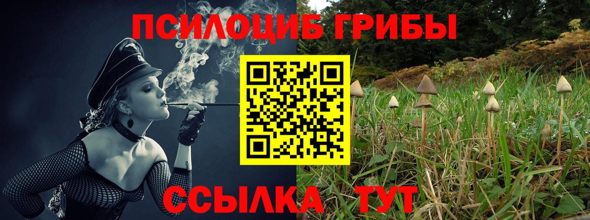 что такое   Вход с VPN  Реутов  Галлюциногенные грибы Psilocybe  Галлюциногенные грибы MAGIC MUSHROOMS 