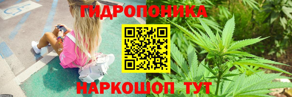 Реутов  Бошки Шишки AK-47  Бошки марихуана тримм  Вход с VPN  Бошки марихуана конопля 